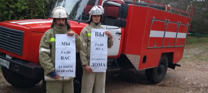 О противопожарном режиме в городе Севастополе